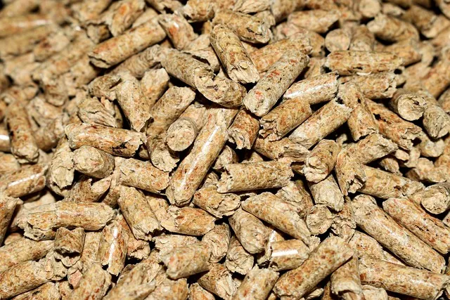 Co wyróżnia kotły 5 klasy z podajnikiem na ekogroszek?