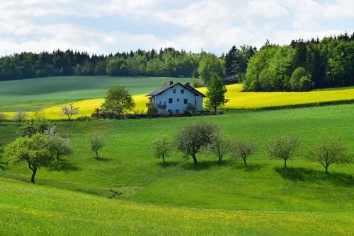 Planowanie budowy przy założeniach neutralności klimatycznej